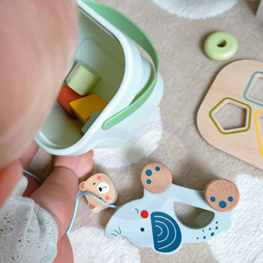 3in1 Toy Box - Sorting Blocks, Stackable Pyramid and Elephant On Wheels